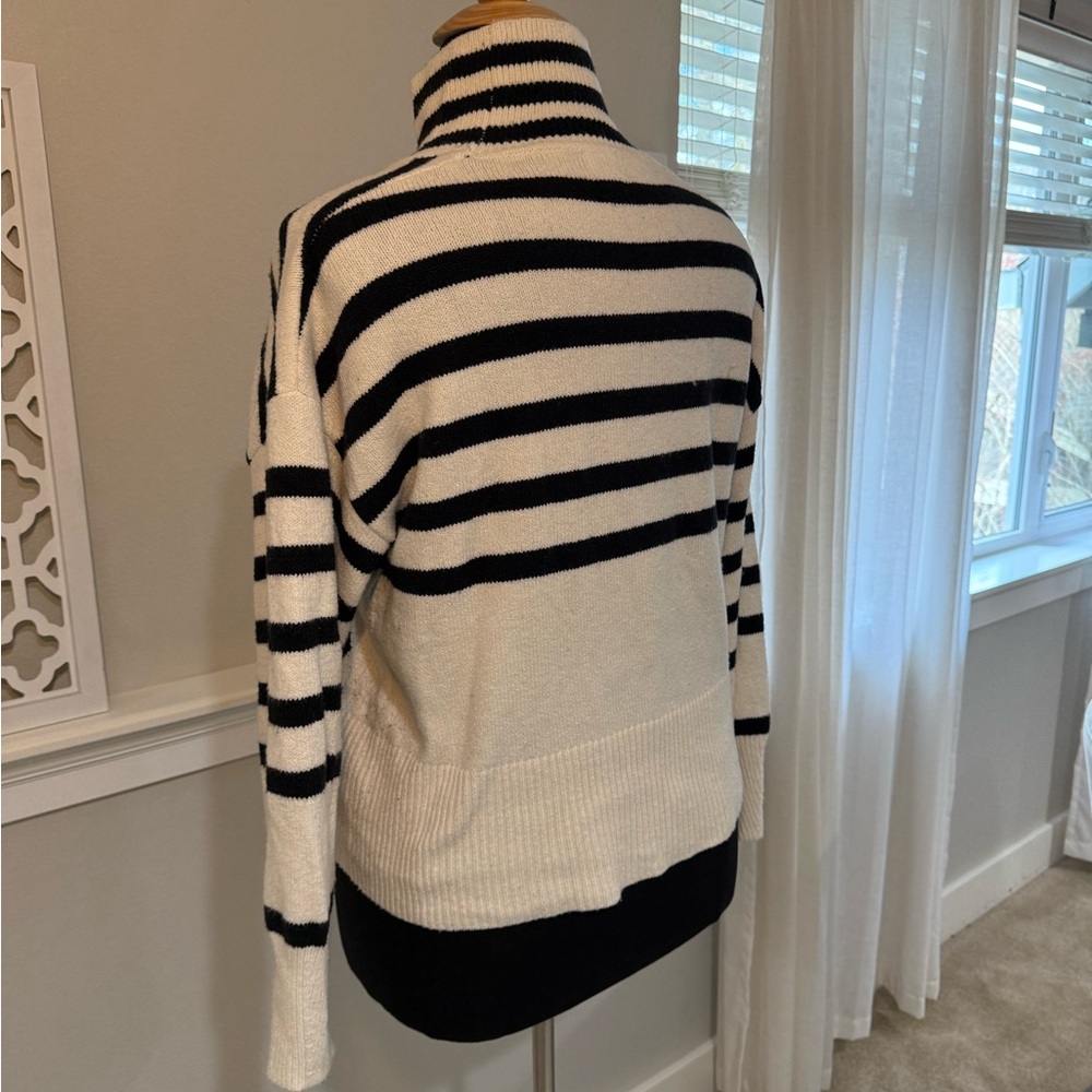 Striped Turtleneck Sweater - Black and White - Picture 8 of 10